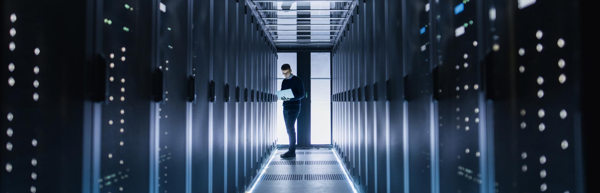 IT-consulting